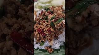 그리운 팟끄라파오무쌉  다진 돼지고기 덮밥  Pod Kra pao Moo sop Thai minced pork with rice  food yummy [upl. by Wenn360]