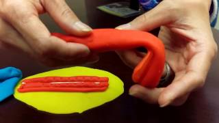 Embryo foldingPlaydough Demo [upl. by Huda]