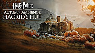 Hogwarts Autumn 🍂 Hagrids Hut ◈ Harry Potter inspired Ambience  Falling Leaves  Rain showers [upl. by Cary]