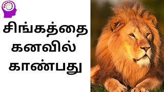 சிங்கத்தை கனவில் காண்பது Lion in dream meaning in tamil [upl. by Cherye177]