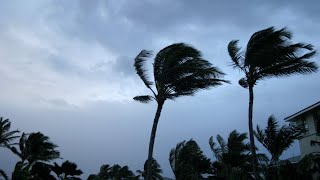 At least 18 dead as tropical cyclone strikes Madagascar [upl. by Iaht]