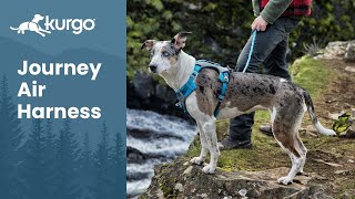 Journey Air Dog Harness  Kurgo [upl. by Nawad491]