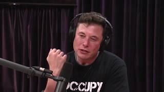 Joe Rogan and Elon Musk quotLove is the answerquot talk about peoples frustrations and future of humanity [upl. by Cleo725]