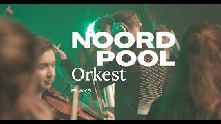 Her  Noordpool Orkest amp Amy Root [upl. by Penelopa]