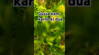 Raag komanor dua islamicstatus mizanurrahmanazhari islamicvideostatus wazifa dua shortfeed 😊 [upl. by Okomot]