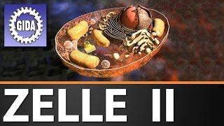 Trailer  Zelle II  Biologie  Schulfilm [upl. by Bridget]