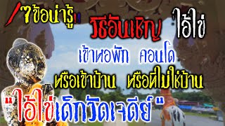 7ข้อน่ารู้ วิธีอันเชิญ quotไอ้ไข่วัดเจดีย์quot เข้าหอพัก คอนโด เข้าบ้าน หรือไม่ใช่บ้านEP19 AiKai WatChedi [upl. by Bathsheba]