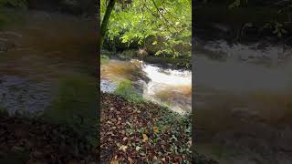 Okehampton Castle  Devon Rivers asmr river water calming holiday [upl. by Icyac725]