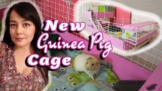 Guinea Pig Cage Unboxing  Cavy Cafe Lookout Lounge and More [upl. by Alesiram467]