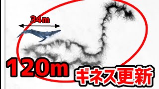 【生物解説】深海で120mの超巨大生物が発見される [upl. by Isidor]