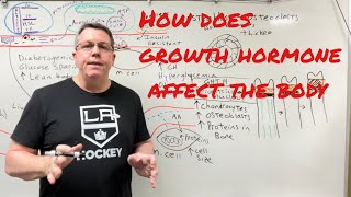 How Does Growth Hormone Affect The Body [upl. by Ahseekal]