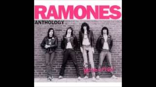 Ramones  quotWe Want the Airwavesquot  Hey Ho Lets Go Anthology Disc 2 [upl. by Lita]