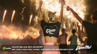 Garmiani  Jump amp Sweat feat Sanjin Audio I Dim Mak Records [upl. by Biddick]