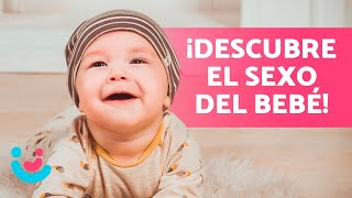 Cómo SABER si es NIÑO o NIÑA 🤰🏻👶🏻 ¡10 Trucos [upl. by Killam]