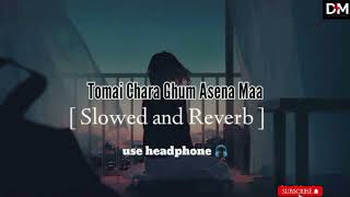 Tomai Chara Ghum Asena Maa  SlowedReverb  Use Headphone  DM RECORDING bangalislowedreverb [upl. by Etheline]