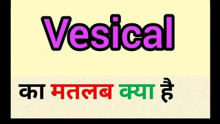 Vesical ​meaning in hindi  vesical ka matlab kya hota hai  word meaning english to hind [upl. by Ailak]