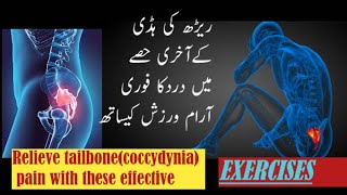 tailbone pain exercisestailbone pain when sitting tailbone pain relief tipsCoccyx Pain Relief [upl. by Dahle238]