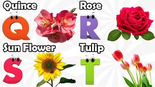 Flowers Alphabet Song  Flowers ABC Song  A to Z Flowers Names  Phonics for Kids [upl. by Airotel]