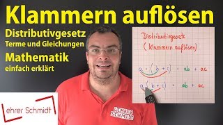 Klammern auflösen Distributivgesetz  Terme und Gleichungen  Mathematik  Lehrerschmidt [upl. by Nylecoj]