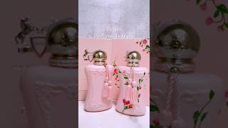 Delina Limited Edition perfume fragrance [upl. by Ayamahs]