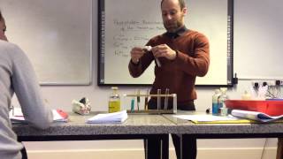 Transition metal ion Precipitation reaction demonstration from wwwChemistryTuitionNet [upl. by Hillari]