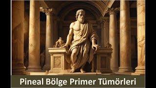 8 Pineal Bölge Primer Tümörleri [upl. by Ecidnacal]