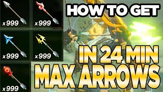 7 Ways to Get MAX ARROWS in Breath of the Wild  Austin John Plays [upl. by Marika]