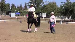 Cowboy Dressage Freestyle at the Gold N Grand Horse Show [upl. by Margaretta794]