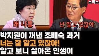 박지원이 꺼내든 조배숙의 과거 quot조 의원은 잘 알고 있잖아 나랑 같은 당에서quot 알고 보니 살아온 삶이 참 [upl. by Ibrek]