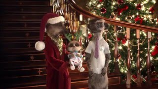 Compare the Meerkat  Christmas video message from Baby Oleg Aleksandr amp Sergei [upl. by Lehpar92]