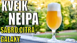 Brewing a NEIPA with VOSS KVEIK  Grain to Glass in LESS THAN A WEEK  How to TopCrop Yeast [upl. by Eneres]