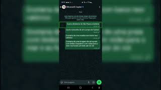 quot Mais uma inteligência artificial para todos nós agora no WhatsApp Confira é tudo nosso [upl. by Dlanor319]