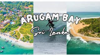 Surfing Paradise Unveiled Exploring Arugam Bays Waves and Wonders  Arugam Bay Sri Lanka [upl. by Clementina689]