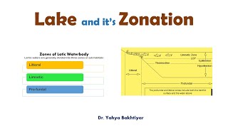 14 Lake and its Zonation Lake Zonation Zones of a Lake [upl. by Bobette172]