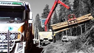 Timberman  Timber Truck Loader  Sweden [upl. by Aihsekan]