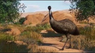 Planet Zoo Designing Exhibits for Australias Weirdest Animals [upl. by Chernow68]