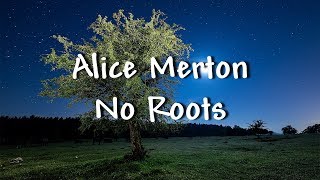 Alice Merton  No Roots  Lyrics [upl. by Barbaraanne]