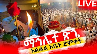 ⭕️Live ተጀመረ 🌹🌹 አንደኛ ሳምንት ማኅሌተ ጽጌ 🌹🌹 የቀጥታ ስርጭት live [upl. by Ty]