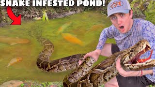 I Found a Pond INFESTED with Deadly Snakes [upl. by Danyelle225]