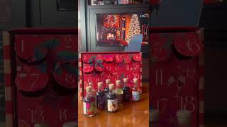 In Good Taste  2024 Wine Advent Calendar  Lauren Erions Review [upl. by Ehcrop]