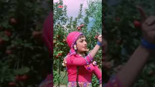 ये पर्दा हटा दो  साधना 💖shorts mohammedrafi oldhindisongs  Ek Phool Do Mali [upl. by Ierdna]