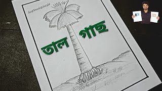 Tal Gas Drawing  Palm Tree Drawing  Easy Drawing Bangla Tutorial [upl. by Tnelc369]