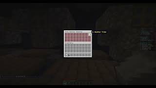 11 vote Spins opening RainyDaygg Skyblock Server [upl. by Yror98]