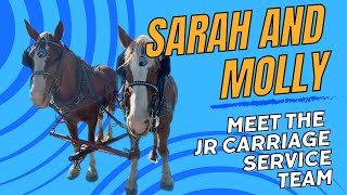 Meet the Draft Horses Its Sarah and Molly [upl. by Chansoo]