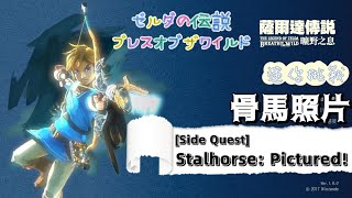 【NS】薩爾達傳說曠野之息迷你挑戰骨馬照片獲得銀盧比The Legend of Zelda BotW Side QuestStalhorse Pictured [upl. by Landri]