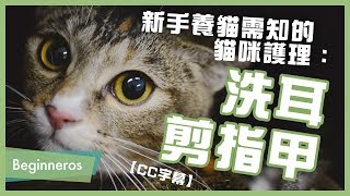 【寵物教學】新手養貓需知的貓咪護理：洗耳、剪指甲｜Beginneros [upl. by Gleich]