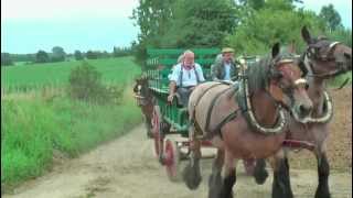 Teams of Belgian Draft Horses [upl. by Sydney]