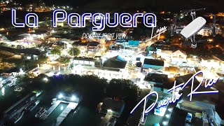 La Parguera Lajas Puerto Rico Night Drone View [upl. by Eiahpets]