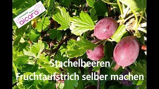 Stachelbeere Fruchtaufstrich selber machen [upl. by Tomkin]