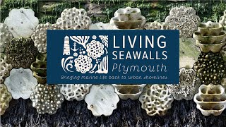 Living Seawalls in Plymouth [upl. by Aurelius]